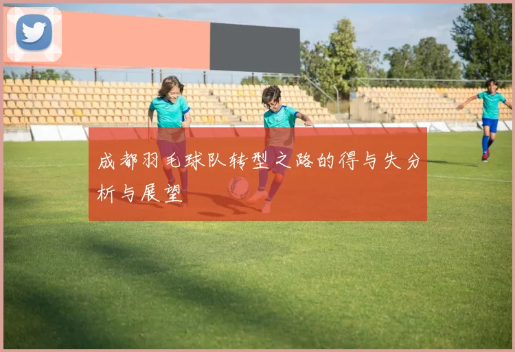 成都羽毛球队转型之路的得与失分析与展望
