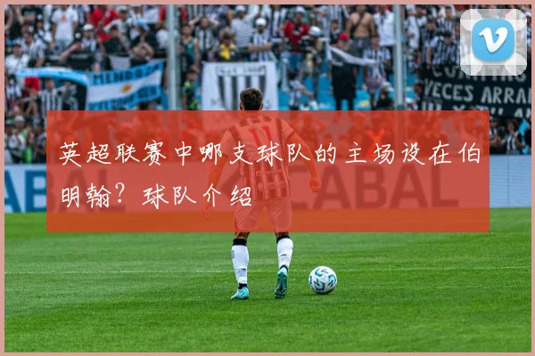 英超联赛中哪支球队的主场设在伯明翰？球队介绍
